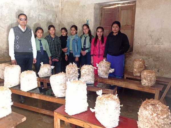 बैतडीको सेटीगाउँ माविका विद्यार्थी ‘पढ्दै, कमाउँदै’